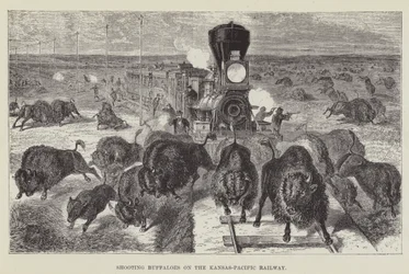 Shooting Buffaloes on the Kansas-Pacific Railway