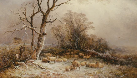 Hoar Frost