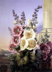 Hollyhocks