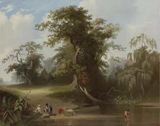 Landscape; Rural Scene