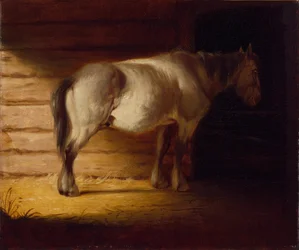 Old Field Horse, by 1856