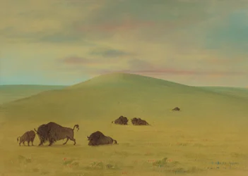 American Pasturage - Prairies of the Platte