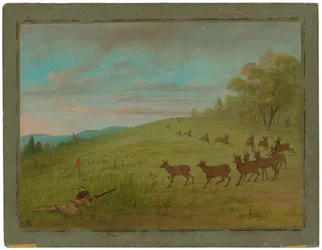 Antelope Shooting