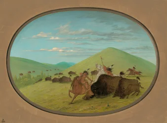 Buffalo Chase - Bulls Protecting the Calves