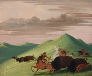 Buffalo Chase, Bull Protecting a Cow and Calf