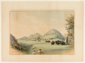 Buffalo Hunt; Approaching in a Ravine--no. 11