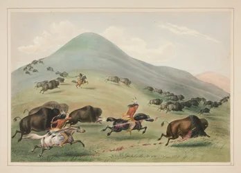 Buffalo Hunt, Chase, pl. 6 from the North American Indian Portfolio