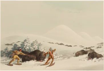 Buffalo Hunt, on Snowshoes