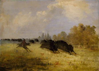 Caddo Indians Chasing Buffalo, Cross Timbers, Texas