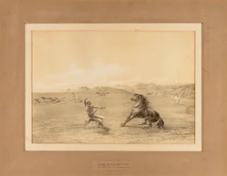 Catching the Wild Horse