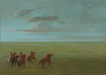 Connibos Starting for Wild Horses