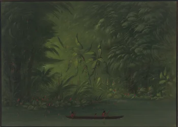 Entrance to a Lagoon, Shore of the Amazon