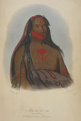 Mah-to-toh-pa (The Four Bears) 2nd Chief of the Mandans