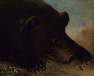 Portraits of a Grizzly Bear and Mouse, Life Size