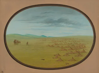 Prairie Dog Village