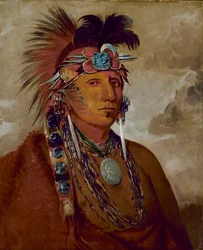 Shó-me-kós-see, The Wolf, a Chief, 1832