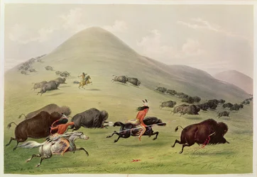 The Buffalo Hunt, c.1832
