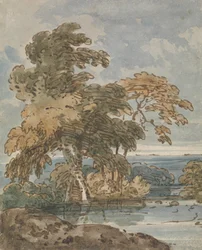 Trees by a River