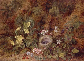 Still Life with Bird