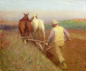 An Autumn Morning