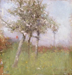 Apple Blossom