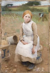 Little Rose