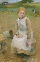 Little Rose