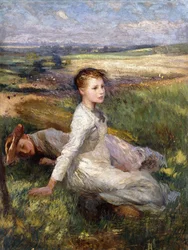 Summer in the Fields