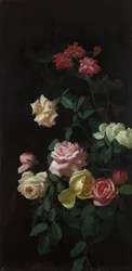 Roses
