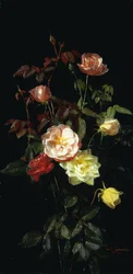 Roses