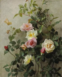 Roses on a Wall