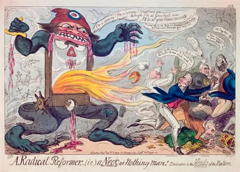 A Radical Reformer