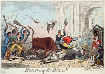 Hunting the Bull