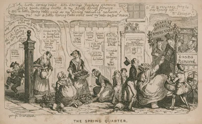 The Spring Quarter; cartoon