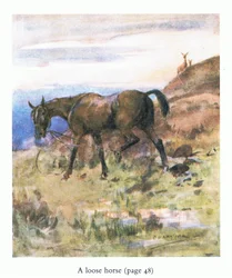 The loose horse