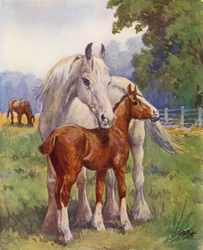 A proud mother