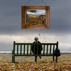 Framed Autumn Contemplation