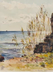 At San Remo Looking Over the Mediterranean, 10th January 1878