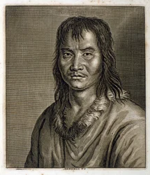 Watercolour Illustration of a Samoed