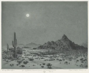 Arizona Night