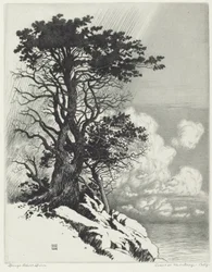 Coast at Monterey, California