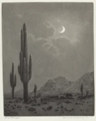 New Moon and Evening Star