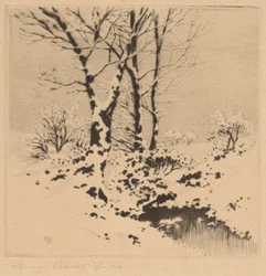 Snow