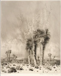 Springtime, Paradise Valley, Arizona