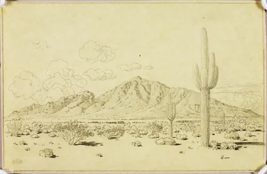 Untitled (Transfer Drawing for Camelback Mountain, Phoenix)
