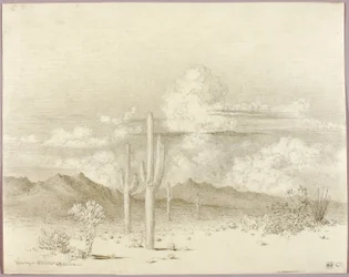 Untitled (transfer drawing for Evening, Paradise Valley, Arizona)