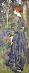 In the Bluebell Wood