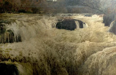 Salmon Leap, Cenarth Falls, Cardiganshire, Wales