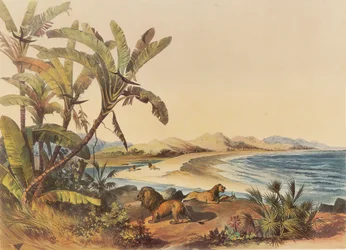 A journey to the mouth of the Umvoti River in Natal
