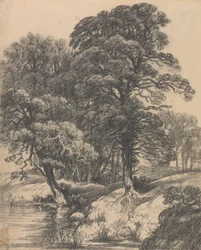 A Wooded Landscape with Pool